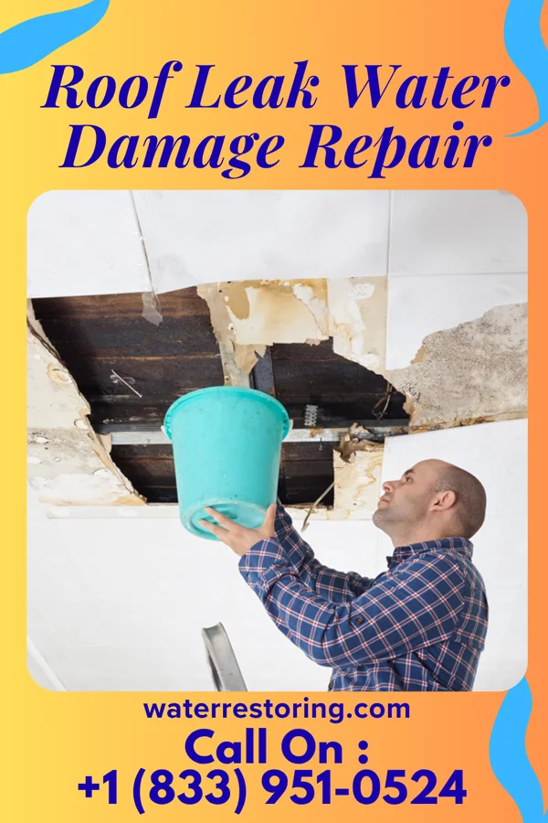 Roof Leak Water Damage Repair in Worley, ID